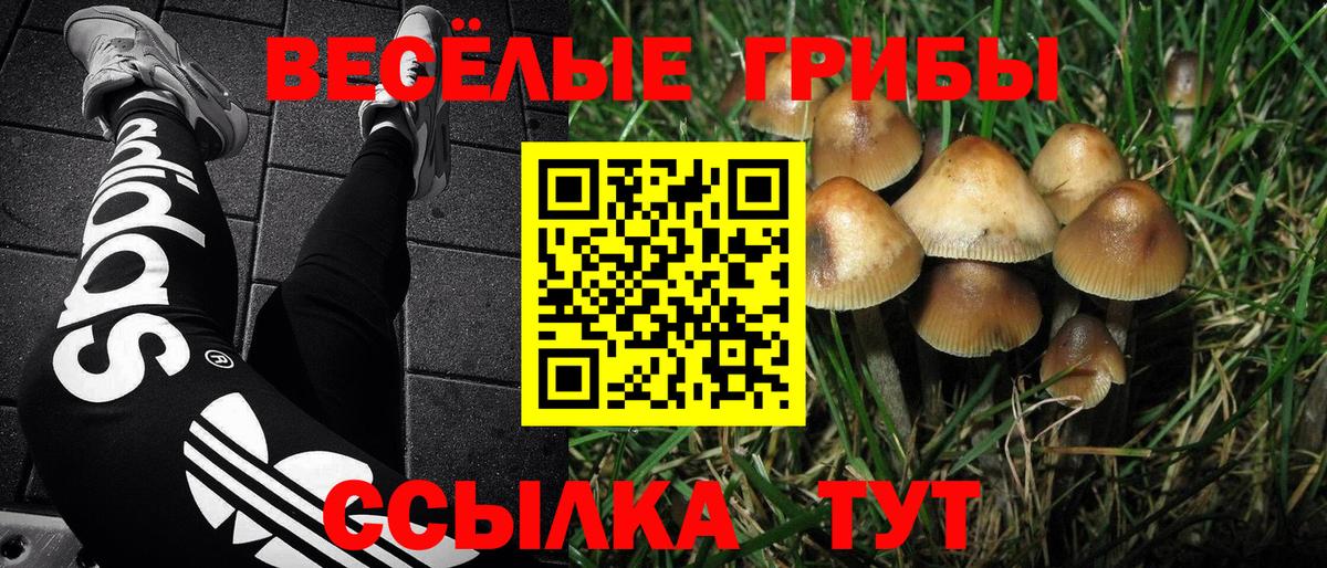 купить наркотики цена  Вход с VPN  Нижний Новгород  Псилоцибиновые грибы Psilocybe 